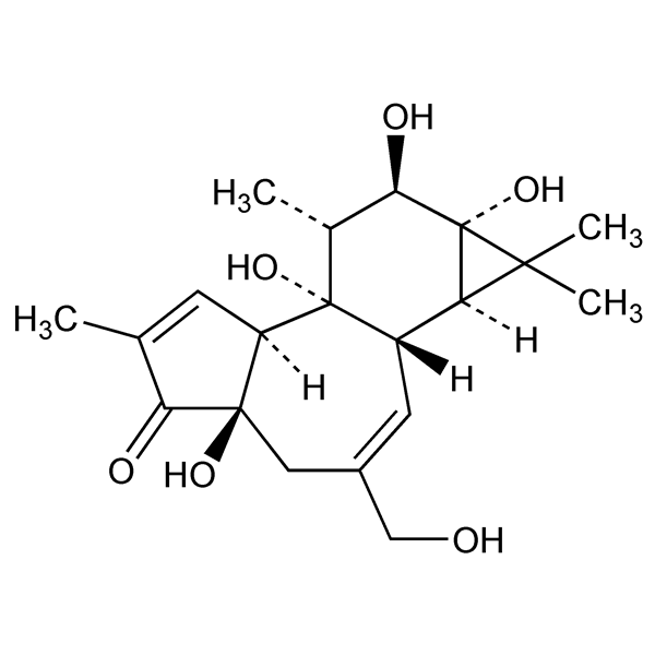 Graphical representation of Phorbol