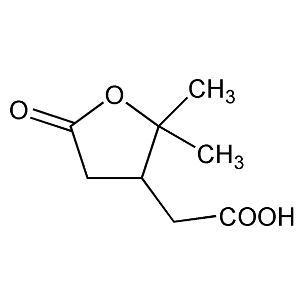 Graphical representation of Terpenylic Acid