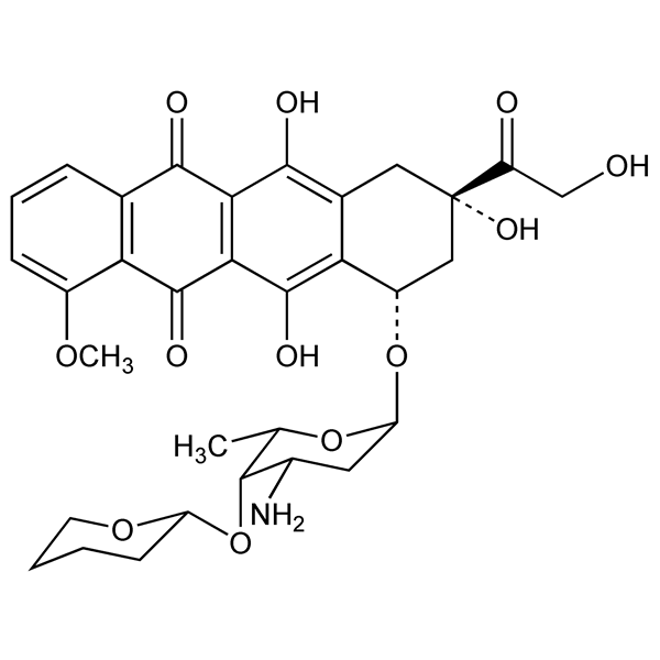 Graphical representation of Pirarubicin