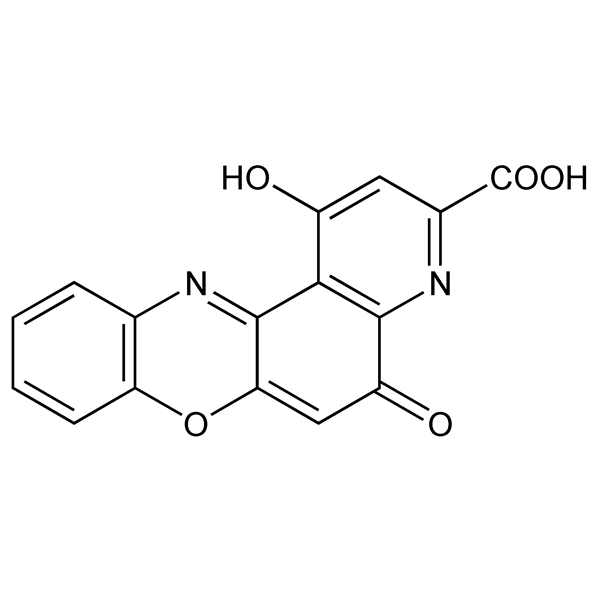 Graphical representation of Pirenoxine