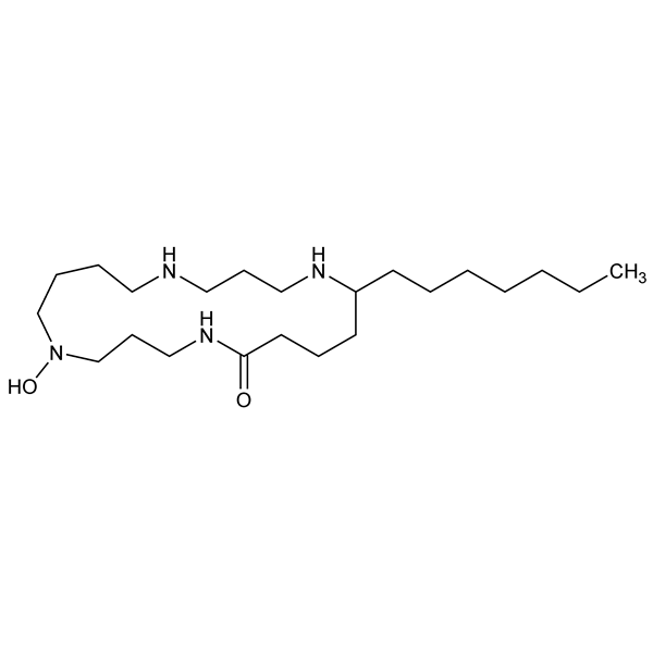 pithecolobine-monograph-image