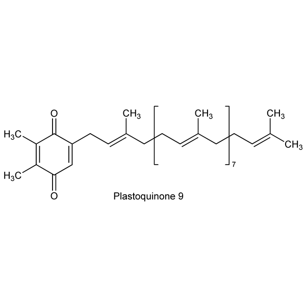 Graphical representation of Plastoquinones