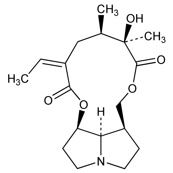 platyphylline-monograph-image