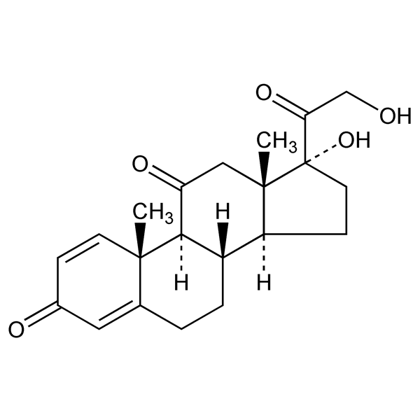 Graphical representation of Prednisone