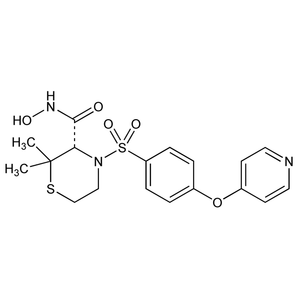 Graphical representation of Prinomastat