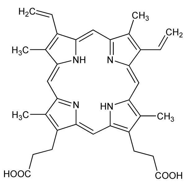 protoporphyrinix-monograph-image