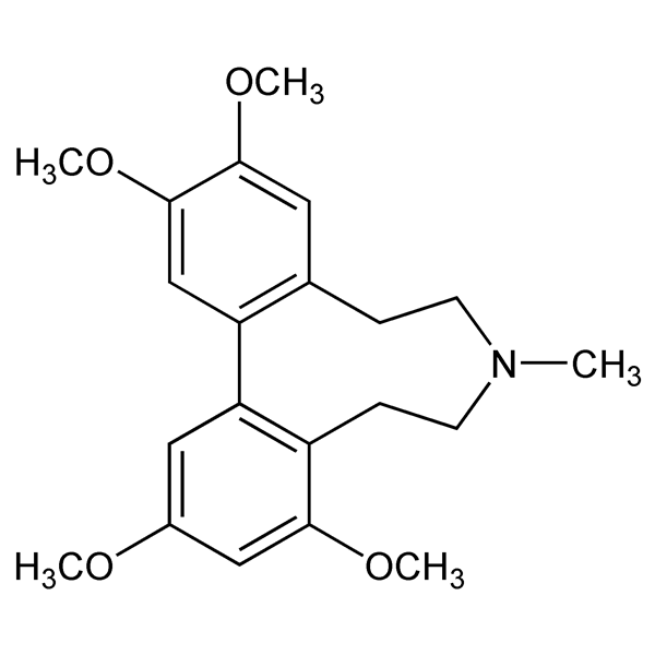 protostephanine-monograph-image