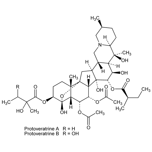 Graphical representation of Protoveratrines