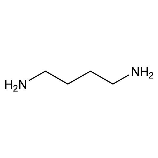 putrescine-monograph-image