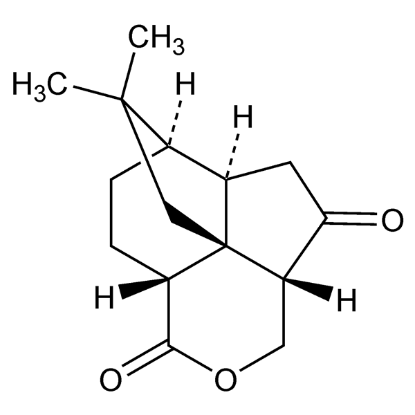 Graphical representation of Quadrone