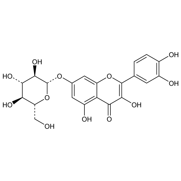 Graphical representation of Quercimeritrin