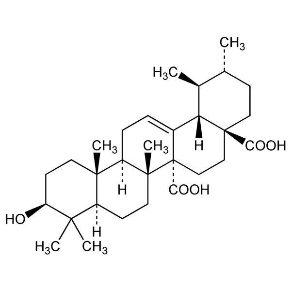 Graphical representation of Quinovic Acid