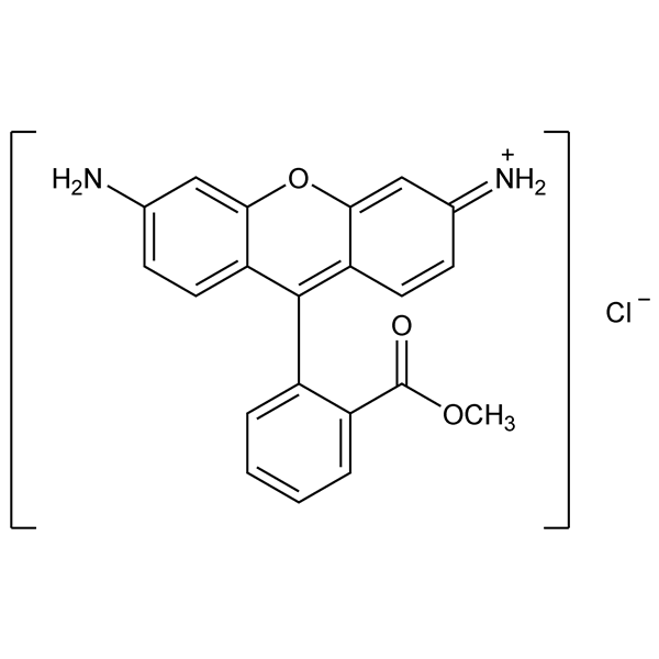 Graphical representation of Rhodamine 123