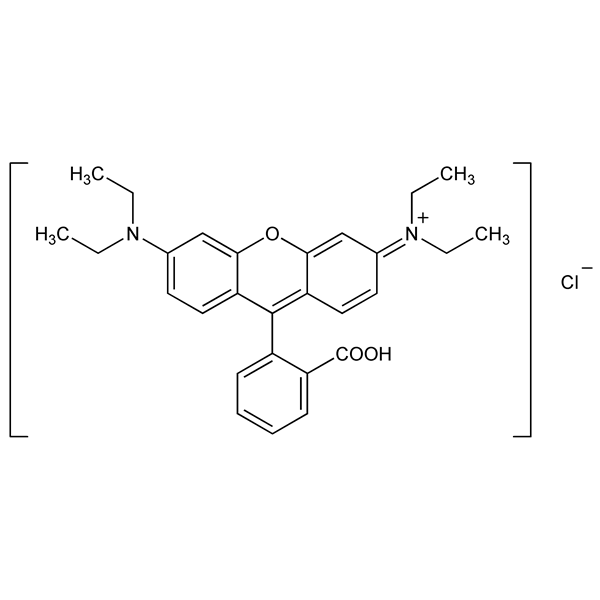 Graphical representation of Rhodamine B