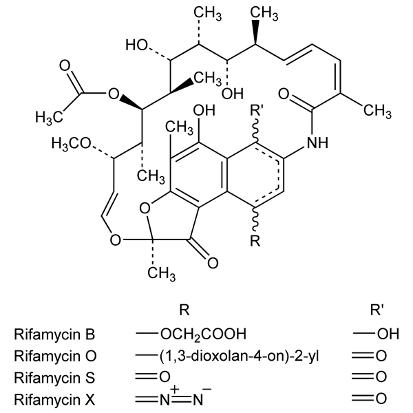 Graphical representation of Rifamycins