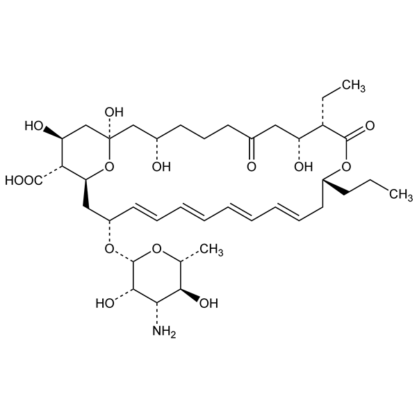 Graphical representation of Rimocidin