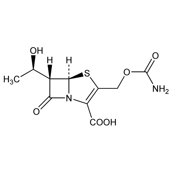 ritipenem-monograph-image