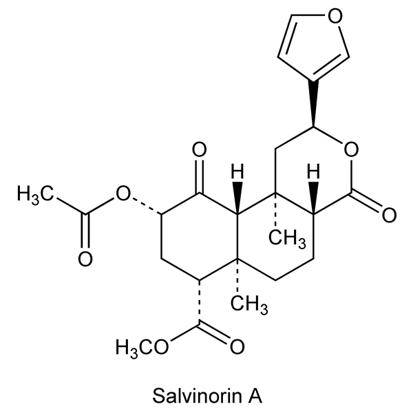 Graphical representation of Salvinorins