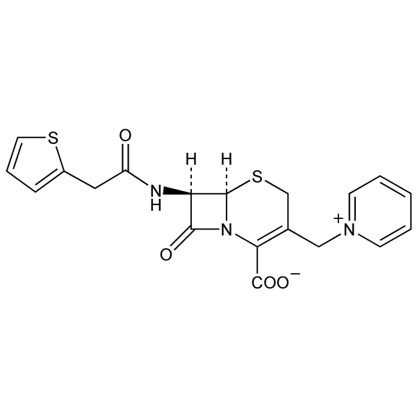 cephaloridine-monograph-image