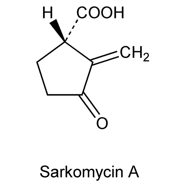 sarkomycin-monograph-image