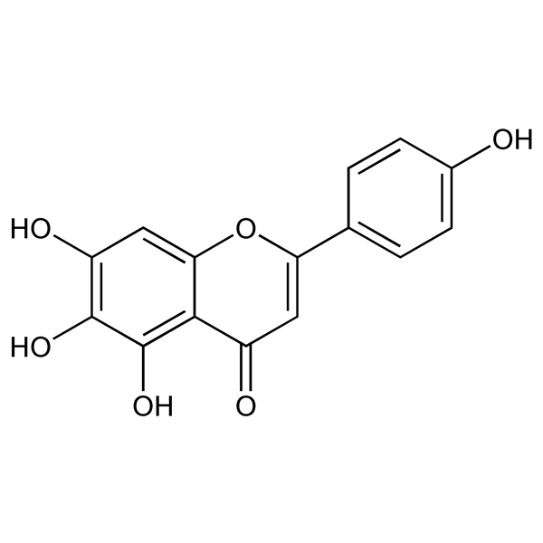 Graphical representation of Scutellarein