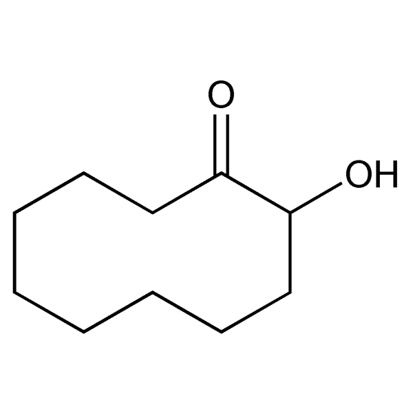 Graphical representation of Sebacoin