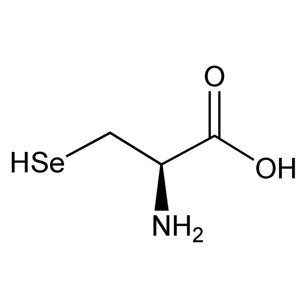 Graphical representation of Selenocysteine