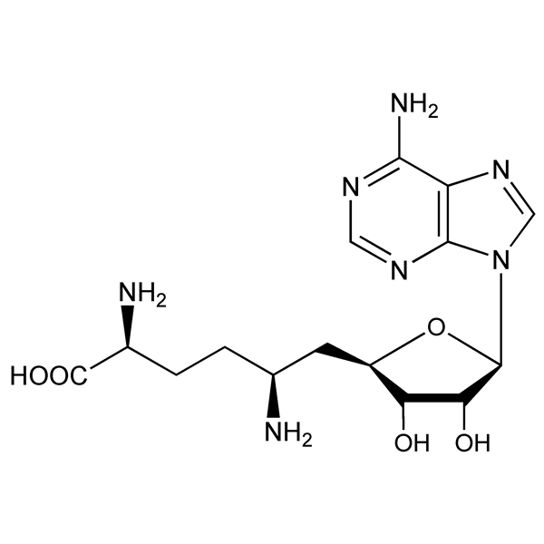 sinefungin-monograph-image