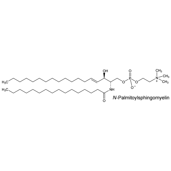 Graphical representation of Sphingomyelins