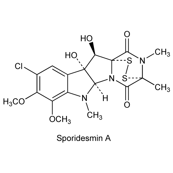 Graphical representation of Sporidesmins