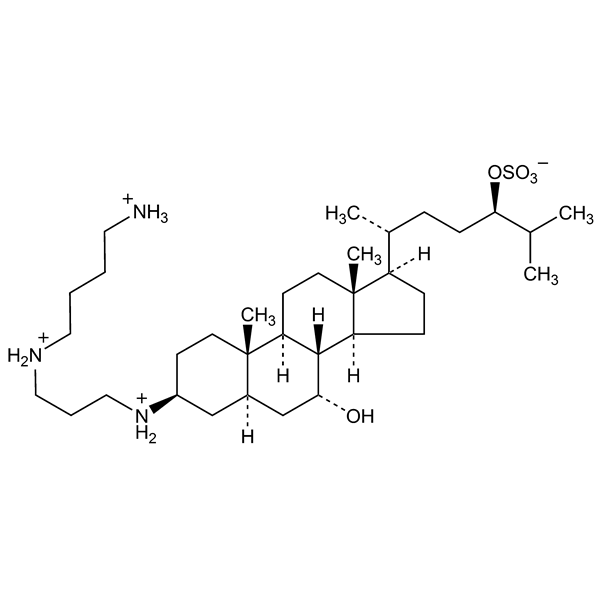 Graphical representation of Squalamine