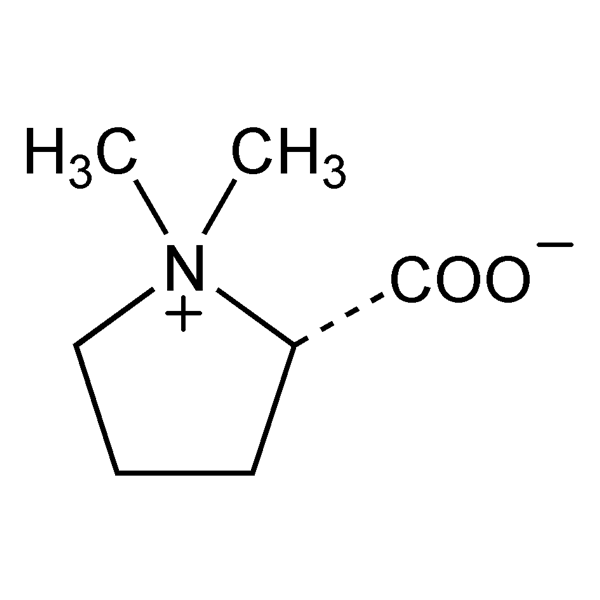 Graphical representation of Stachydrine