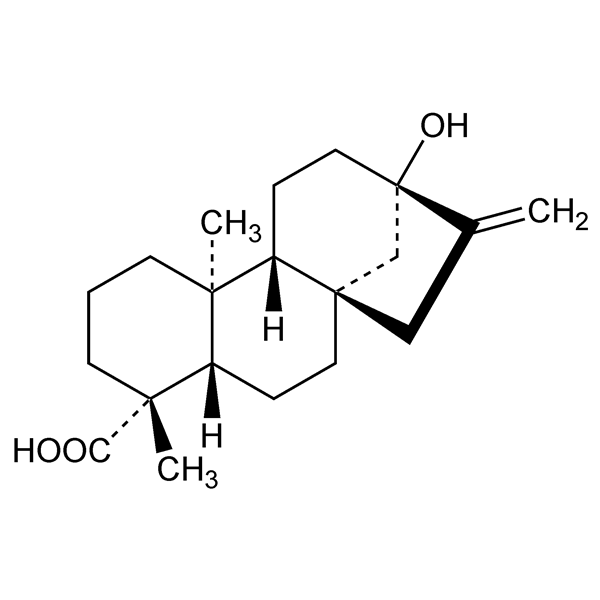 Graphical representation of Steviol