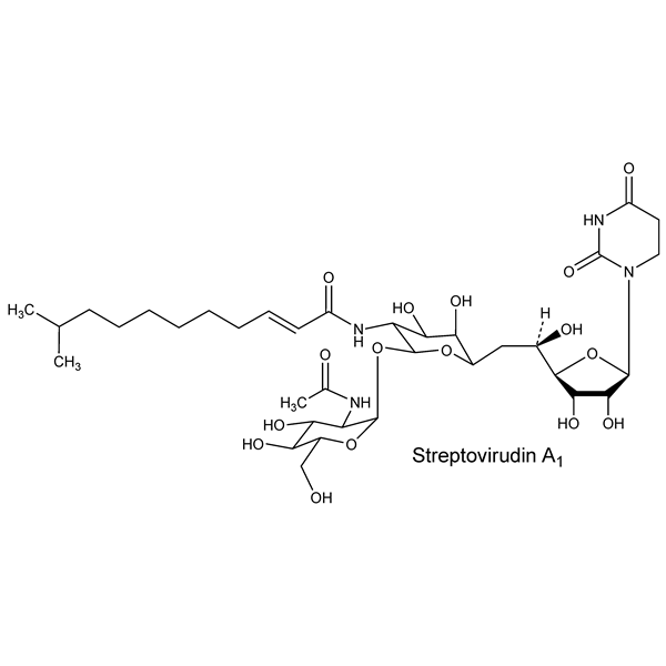 streptovirudin-monograph-image