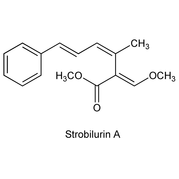 Graphical representation of Strobilurins