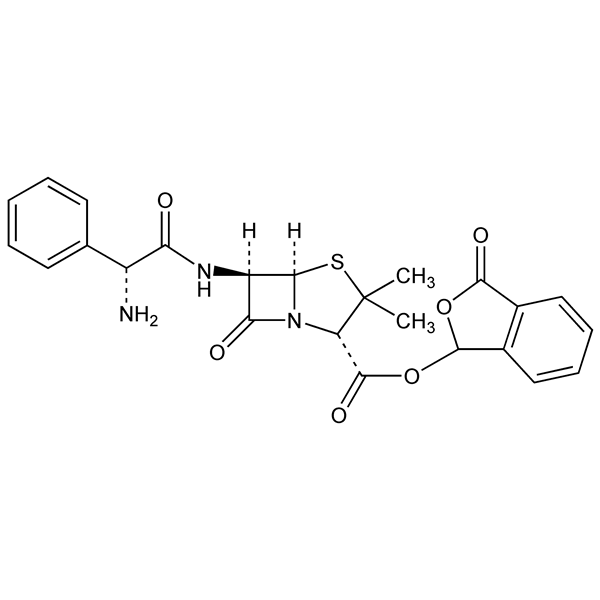 Graphical representation of Talampicillin