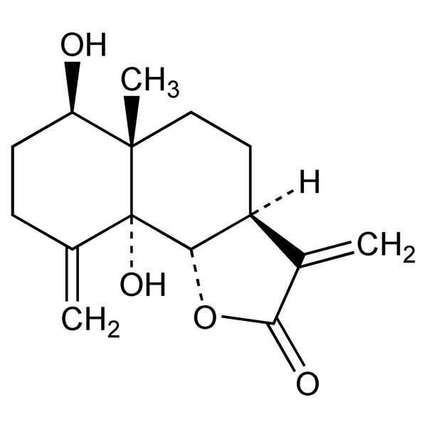 tanacetin-monograph-image