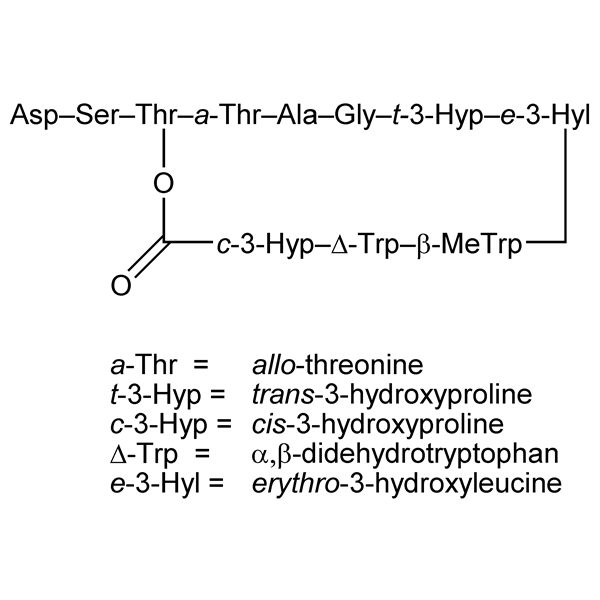 telomycin-monograph-image