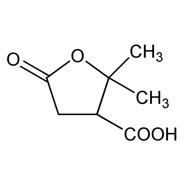 terebicacid-monograph-image