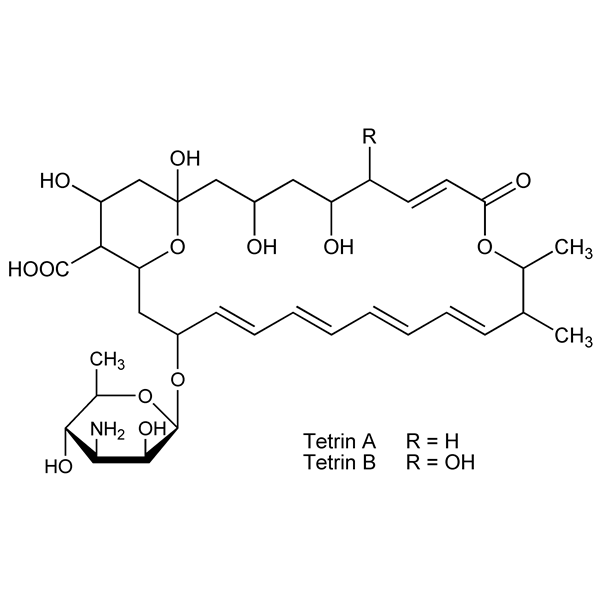 tetrin-monograph-image