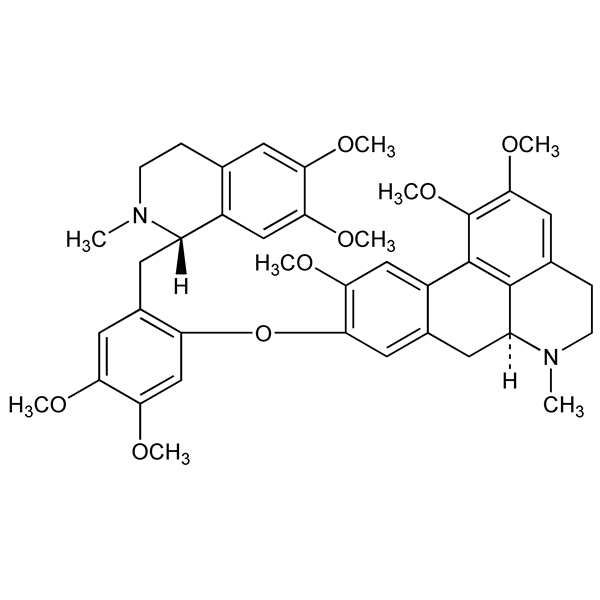 thalicarpine-monograph-image