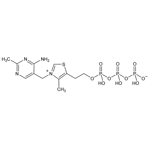 thiaminetriphosphate-monograph-image