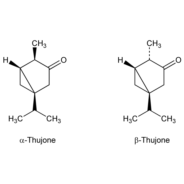 thujone-monograph-image