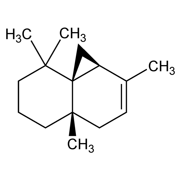 Graphical representation of Thujopsene