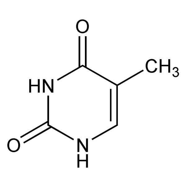 Graphical representation of Thymine