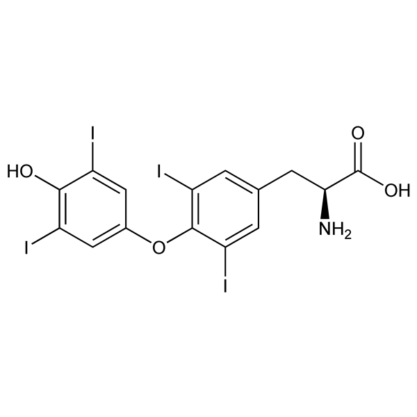 Graphical representation of Thyroxine