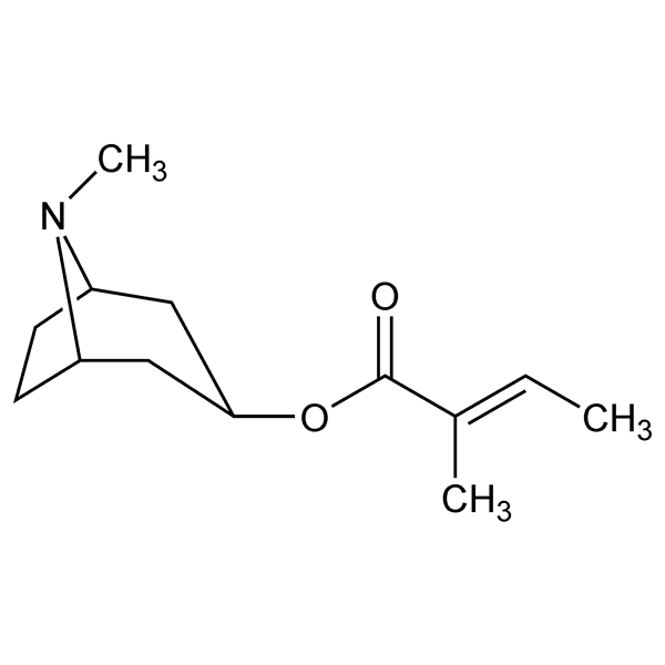 Graphical representation of Tigloidine