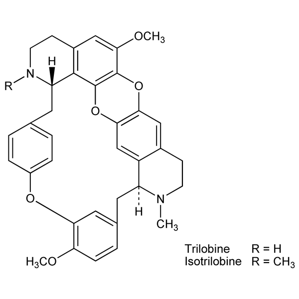 Graphical representation of Trilobine