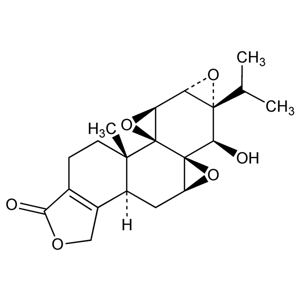 Graphical representation of Triptolide