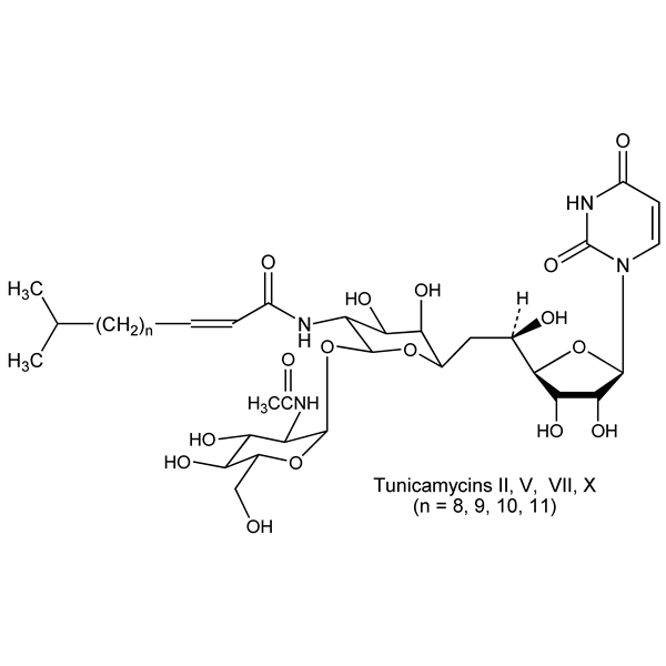 Graphical representation of Tunicamycin